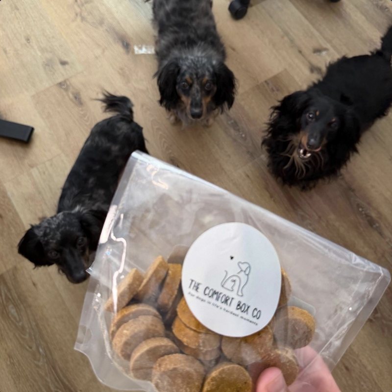 Three small dark long-haired dogs looking up at a hand holding a bag of treats with The Comfort Box Co label.
