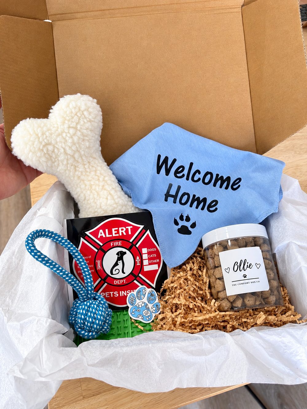 Welcome Home Box opened to show a blue Welcome Home bandana, cream plush bone, blue rope toy, Pets Inside window sticker, lick mat, and a treat jar labeled Ollie.